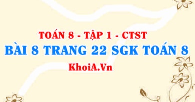 Bài 8 trang 22 SGK Toán 8 Tập 1 Chân trời sáng tạo